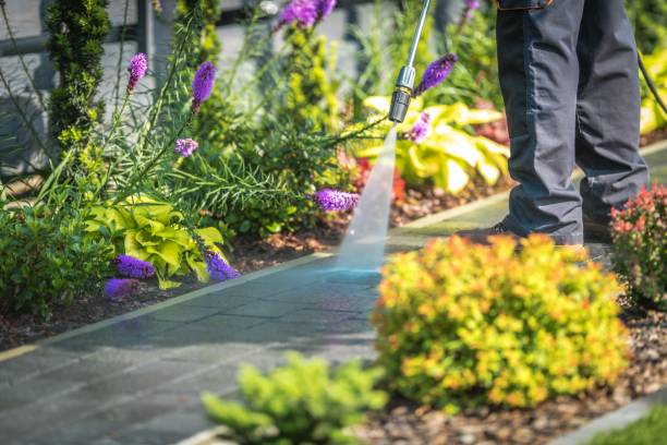 Best Sidewalk and Walkway Cleaning  in Pico Rivera, CA